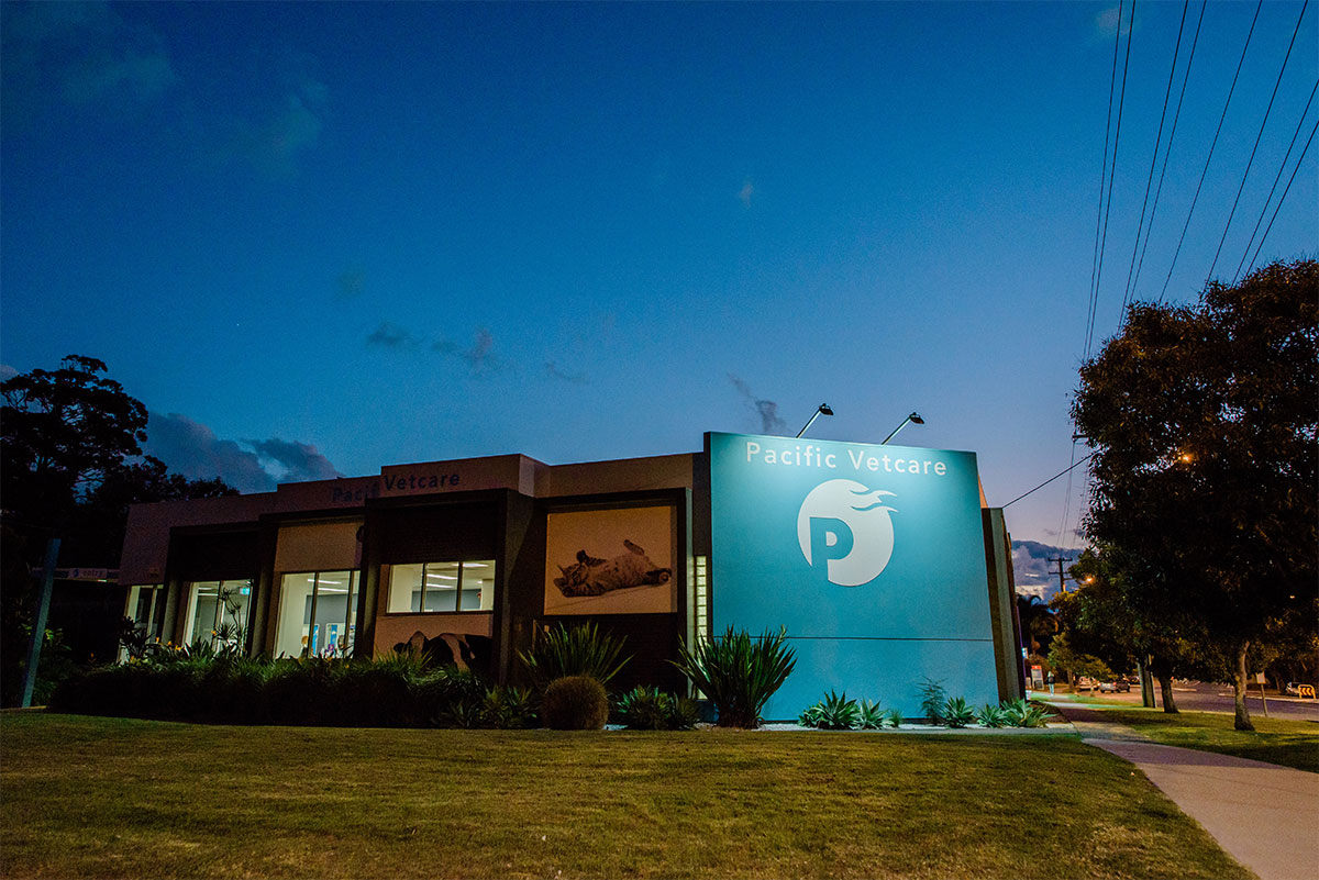 Contact Us Pacific Vet Care